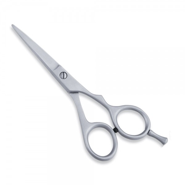 Economy Scissor